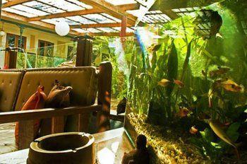 Casa Aurea Boutique Bed & Breakfast